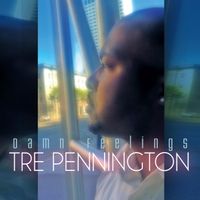 Damn Feelings by Tre Pennington