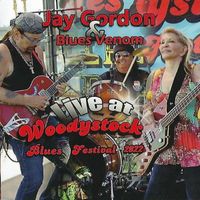 Live at Woodystock Blues Festival by Jay Gordon and Blues Venom