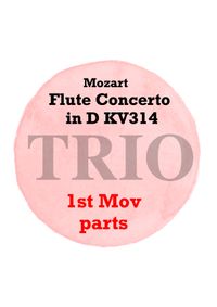 Flute Concerto in D KV314 1st movement for FLUTE TRIO PARTS