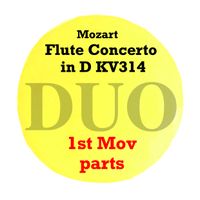 Flute Concerto in D KV314 1st movement PARTS