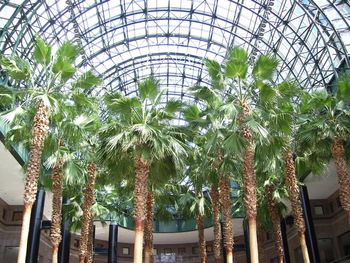 Inside the Winter Garden - the mezzanine level at the rear of this photo has a view directly over 'Ground Zero'...
