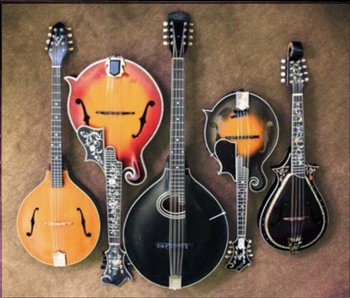 mandolin family tenor lute, mandola, mandocello, mandolin, mandolita

