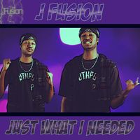 Just What I Needed by J Fusion
