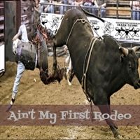 Ain't My First Rodeo by Mark Stone and the Dirty Country Band