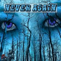 Premiere of "Never Again" covered by: The FunStones