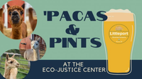WATTLE & DAUB at ECO JUSTICE CENTER FOR 'PACAS & PINTS