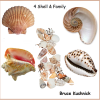 4 Shell & Family by Bruce Kushnick