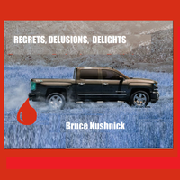 Regrets, Delusions, Delights by Bruce Kushnick