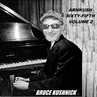 ARNKUSH 65: Volume II by Bruce Kushnick