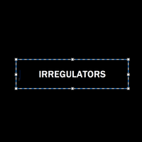 IRREGULATORS by Bruce Kushnick