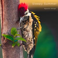 'Sleepy Summer' Tab/Notation/mp3
