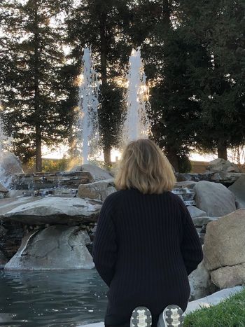 Found these redwood trees and fountains in the middle of Bakersfield
