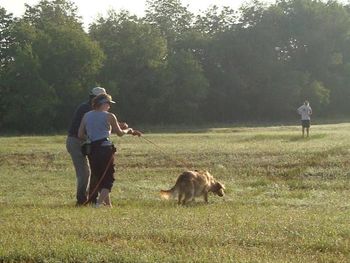 Bailey learning the ropes. 2010
