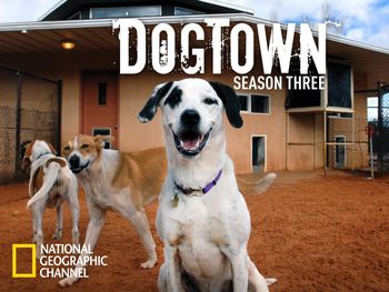 National Geograpics Dogtown USA
