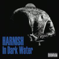 In Dark Water by Harnish