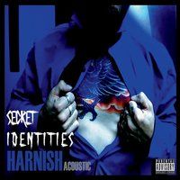 Secret Identities by Harnish