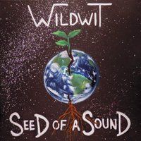 Seed of a Sound by Wildwit