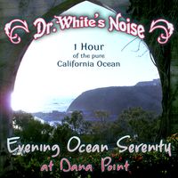 Evening Ocean Serenity at Dana Point by Dr. White's Noise