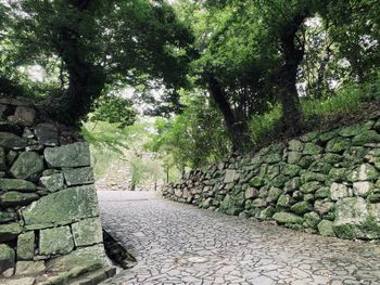 Stone wall of Fukuoka Castle
