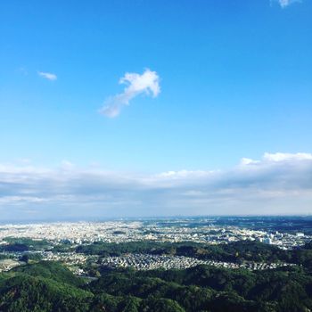 Hachioji Castle Ruins (Mountainside)
