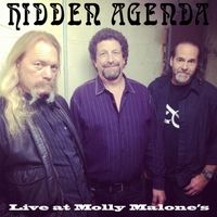 Hidden Agenda (Live at Molly Malone's) by Hidden Agenda