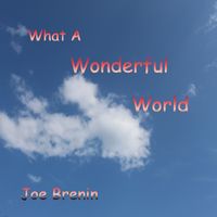 What A Wonderful World by Joe Brenin