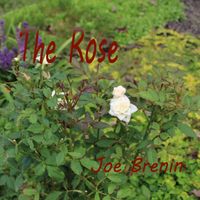 The Rose by joebrenin.com