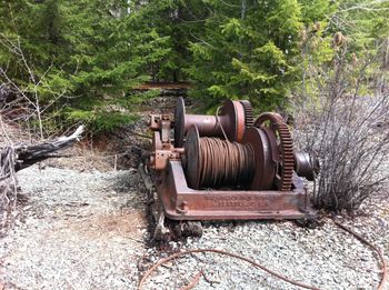 Velvet Hoist Winch 2012 (Wayne Krewski Collection)
