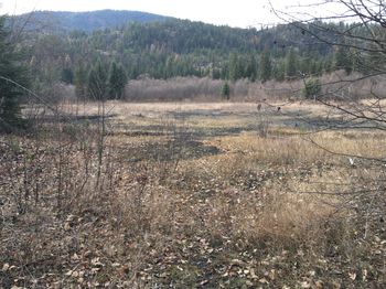 Velvet Lower Tailings Pond 2019
