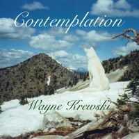 Contemplation by Wayne Krewski
