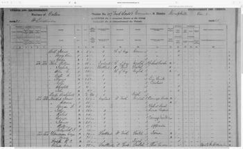 1881 Census, Kemptville, Ontario

