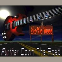 Further Down the Road by Electric Wood