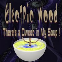 There's A Dweeb In My Soup  by Electric Wood 