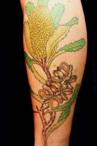 Banksia Serrata Australian botanical tattoo
