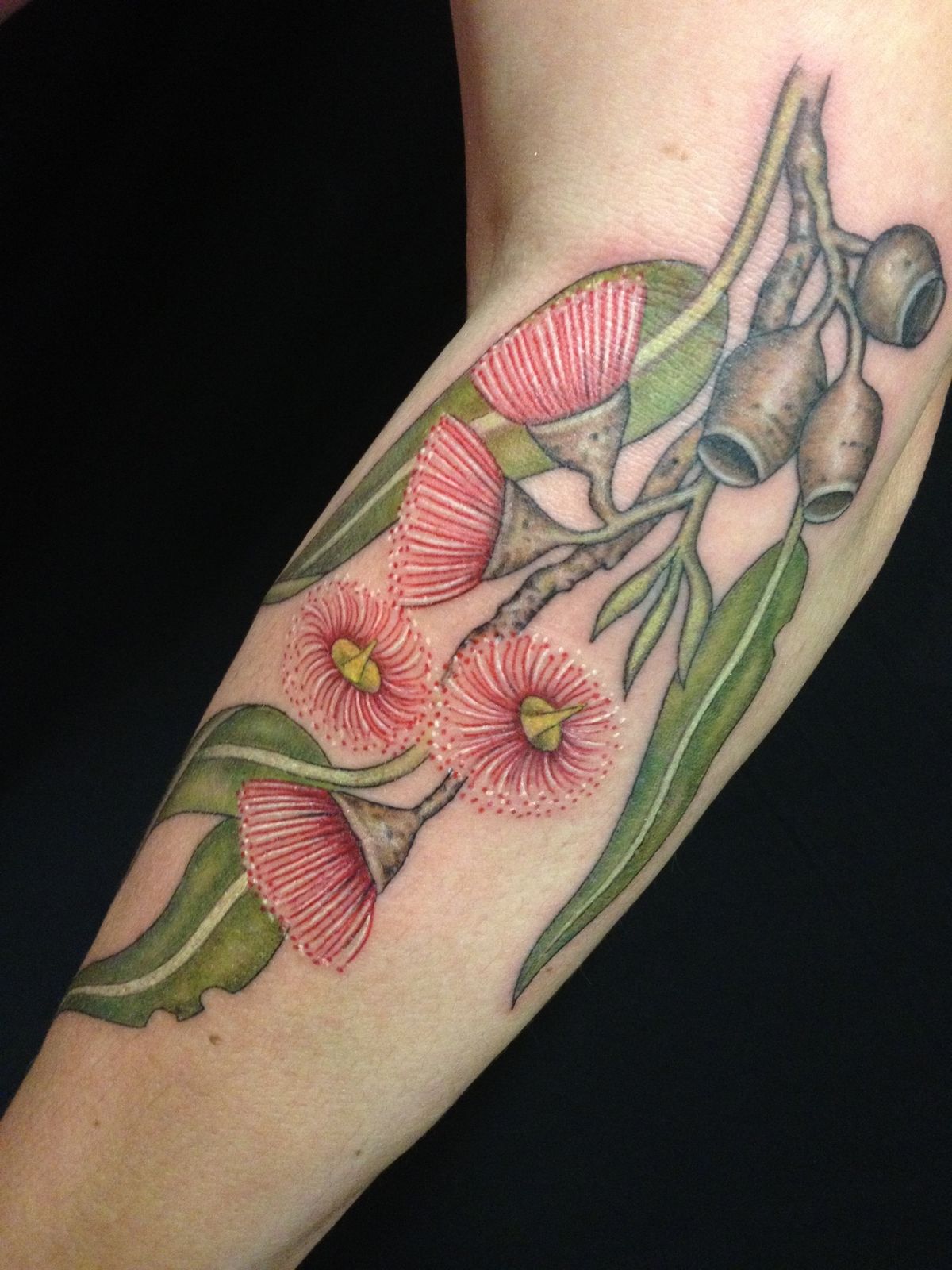 Australian Native plant botanical tattoos
