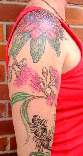 Eucalyptus (gumtree), Waratah, Banksia, Australian botanical tattoos
