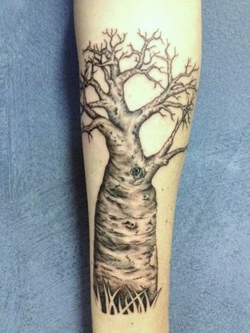 NW Kimberley's Boab tree tattoo
