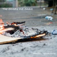 The Streets We Share by Matthew Nelson Price