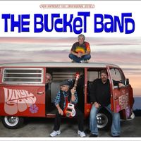 Vinyl Soul by The Bucket Band