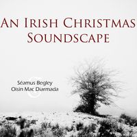 An Irish Christmas Soundscape by Séamus Begley & Oisín Mac Diarmada