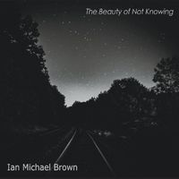 The Beauty of Not Knowing by Ian Michael Brown