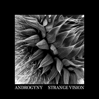 Strange Vision by Androgyny Music