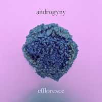 Effloresce by Androgyny