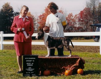 Teena & Dozer
