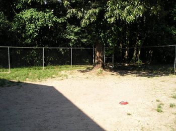 Exercise Yard
