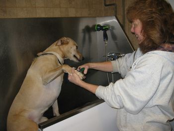 Nail trim
