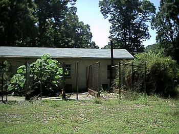 Before renovations, the runs were exposed to all types of weather.
