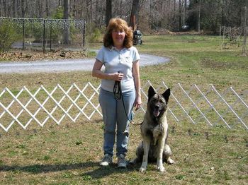 Learn how to teach your dog to do a "SIT STAY". This is Meeko, an Akita
