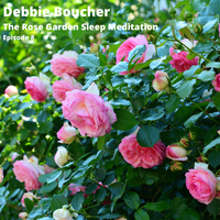Rose Garden by Debbie Boucher