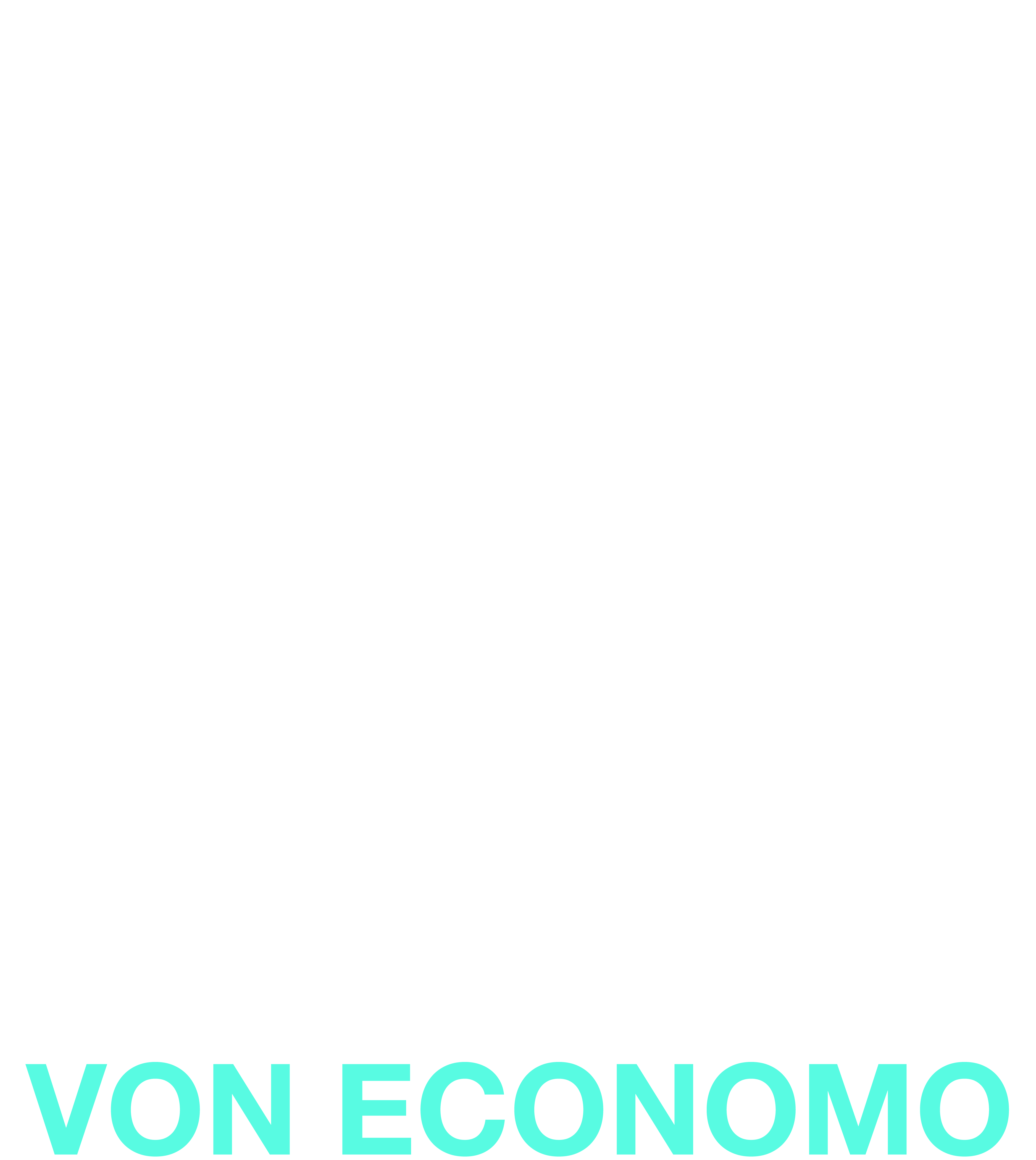 Von Economo